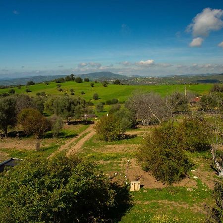 Ouazzane Camping Panorama酒店 外观 照片
