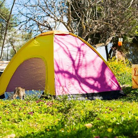 Ouazzane Camping Panorama酒店 外观 照片