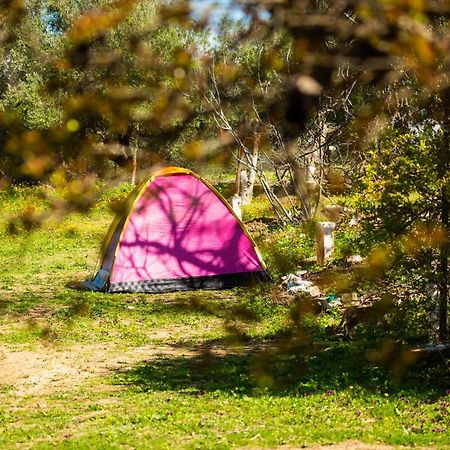 Ouazzane Camping Panorama酒店 外观 照片