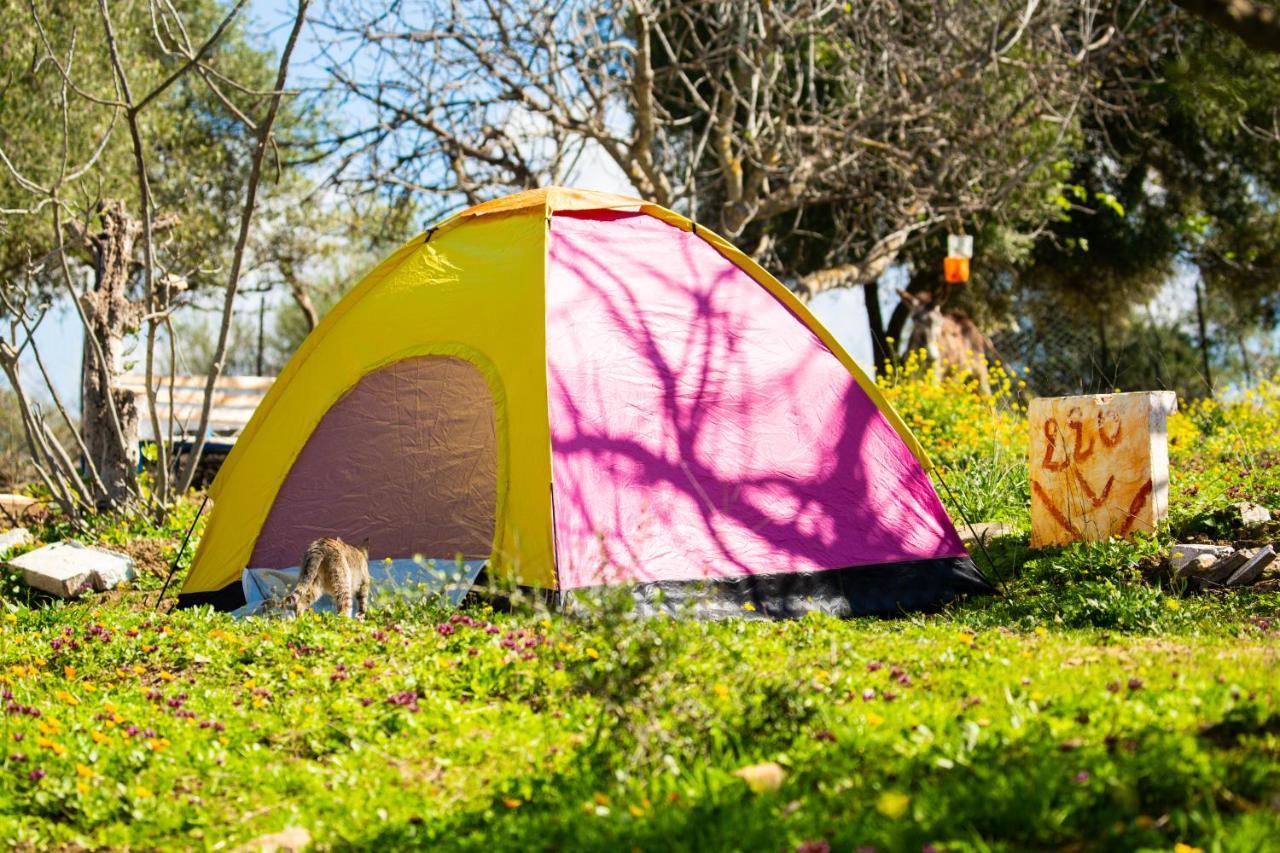 Ouazzane Camping Panorama酒店 外观 照片